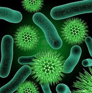 Bacteriological Concrete Picture